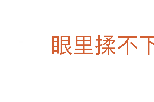 眼里揉不下沙子