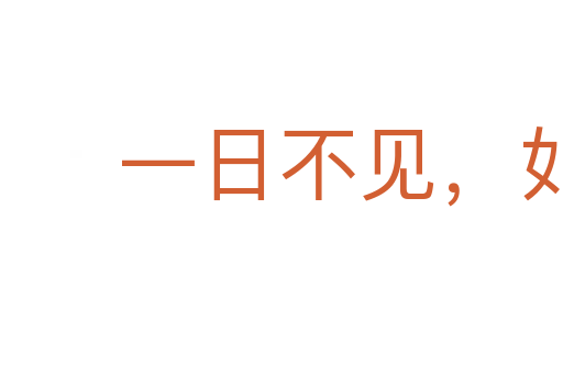 一日不见，如隔三秋