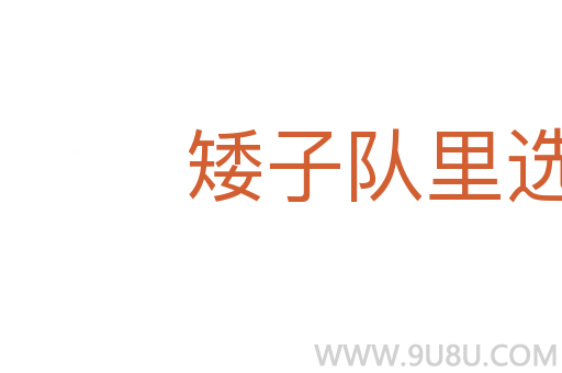 矮子队里选将军