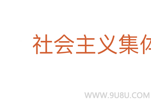 社会主义集体所有制