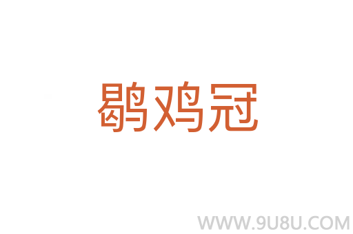 鹖鸡冠