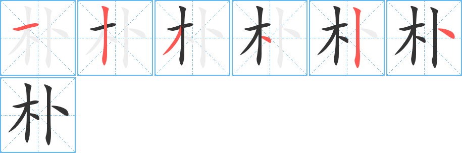 朴的笔顺分步演示