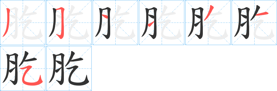 肐的笔顺分步演示