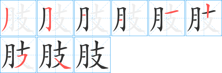 肢的笔顺分步演示