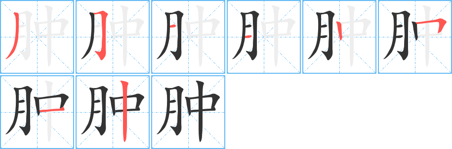 肿的笔顺分步演示