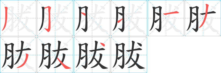 胈的笔顺分步演示