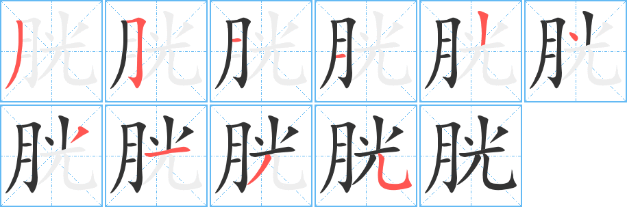 胱的笔顺分步演示