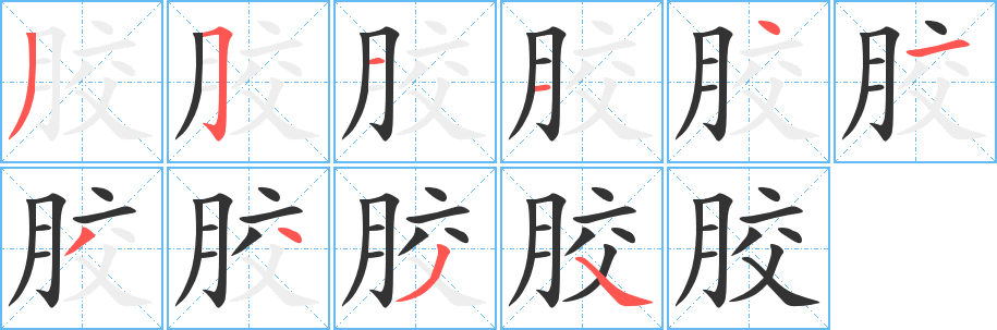 胶的笔顺分步演示