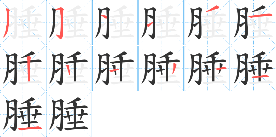 腄的笔顺分步演示