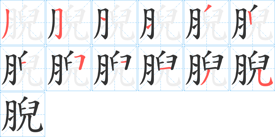 腉的笔顺分步演示