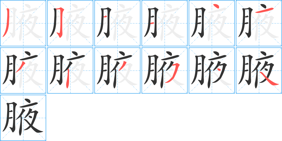 腋的笔顺分步演示