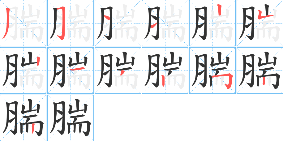 腨的笔顺分步演示