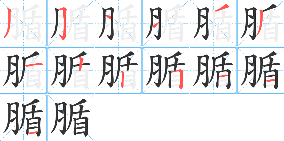 腯的笔顺分步演示