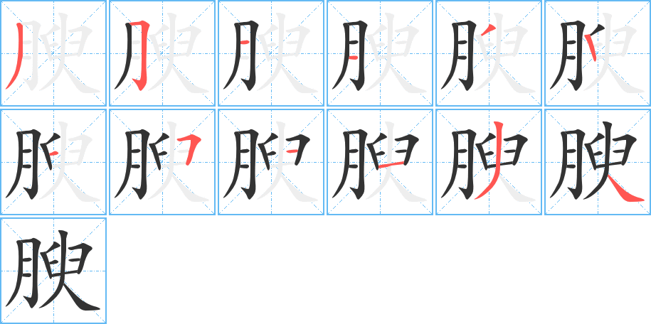 腴的笔顺分步演示