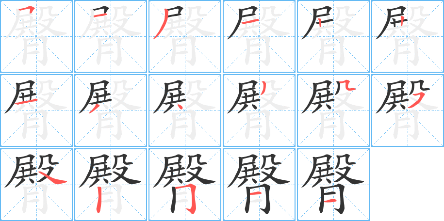 臀的笔顺分步演示