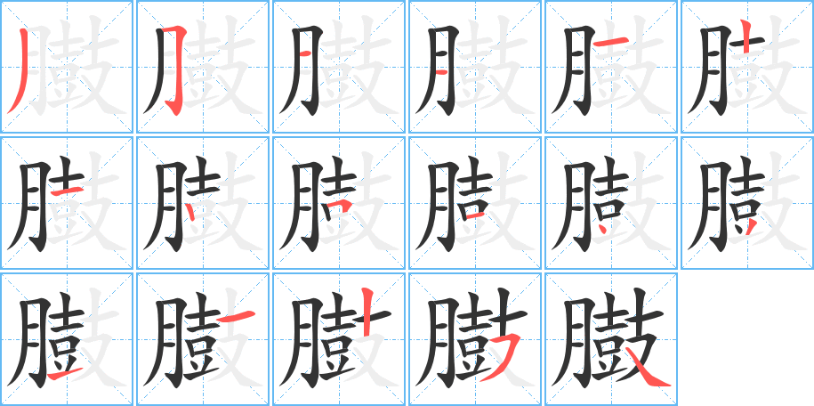 臌的笔顺分步演示