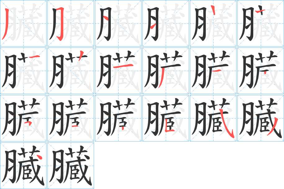 臓的笔顺分步演示