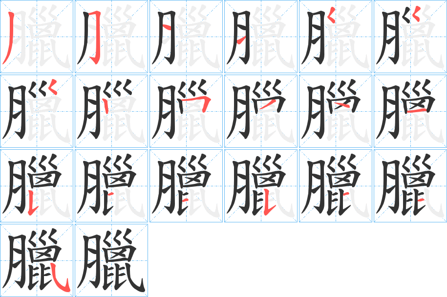 臘的笔顺分步演示