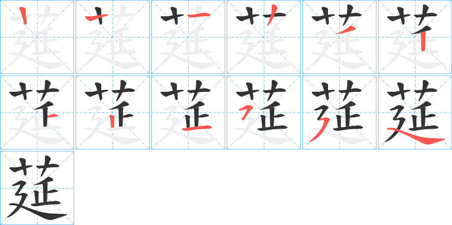 莚的笔顺分步演示