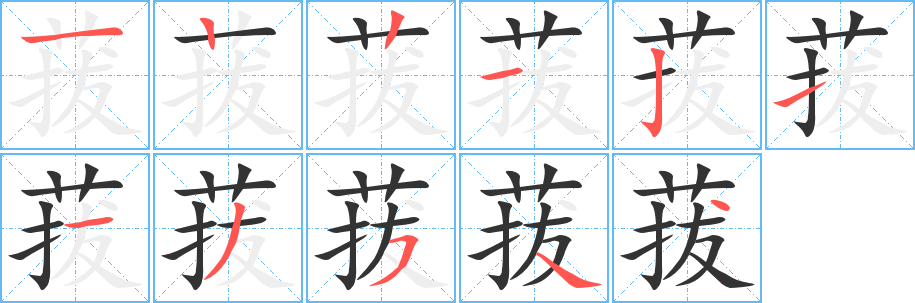 菝的笔顺分步演示