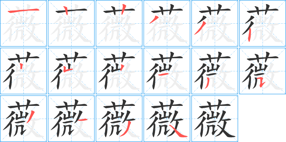 薇的笔顺分步演示