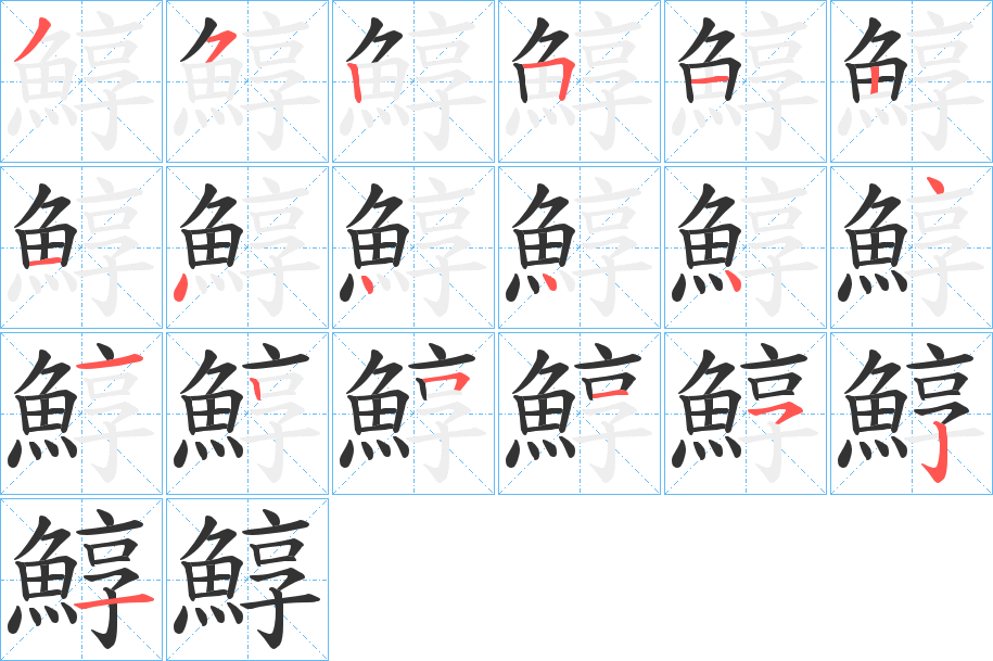 鯙的笔顺分步演示