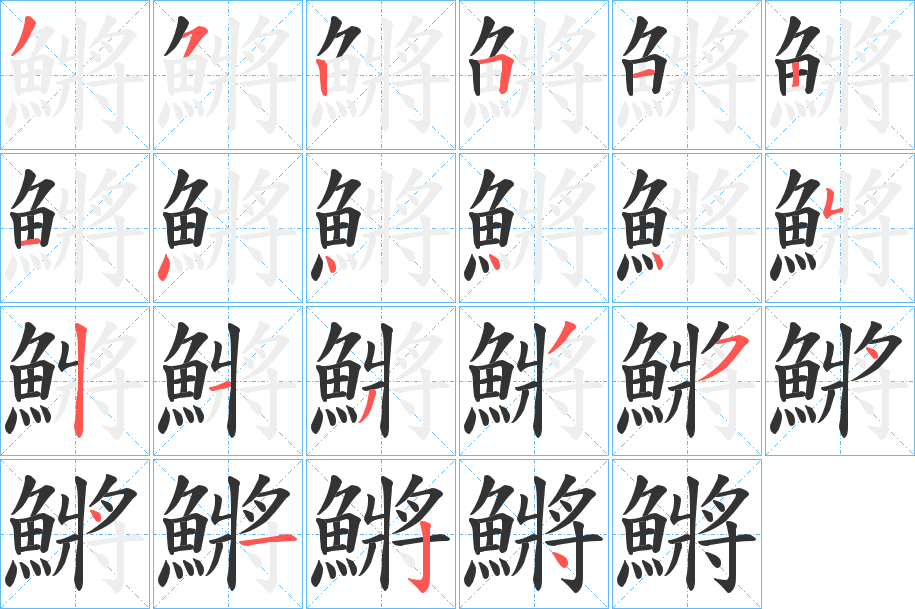 鱂的笔顺分步演示