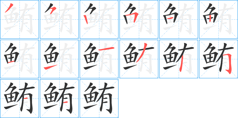 鲔的笔顺分步演示