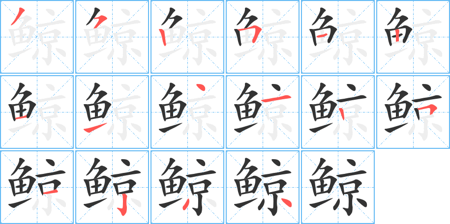 鲸的笔顺分步演示