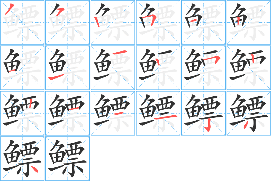 鳔的笔顺分步演示