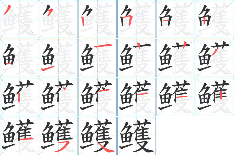 鳠的笔顺分步演示