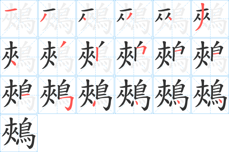 鵊的笔顺分步演示