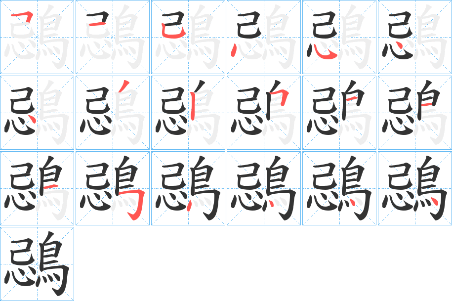 鵋的笔顺分步演示