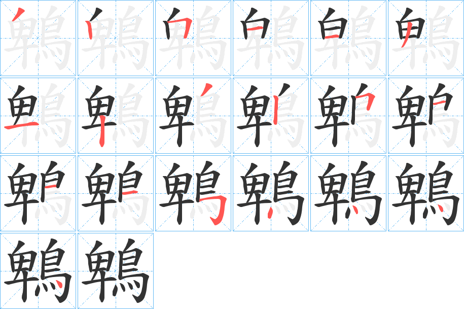 鵯的笔顺分步演示