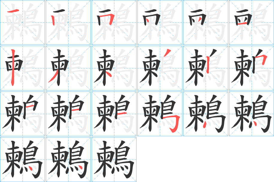 鶫的笔顺分步演示