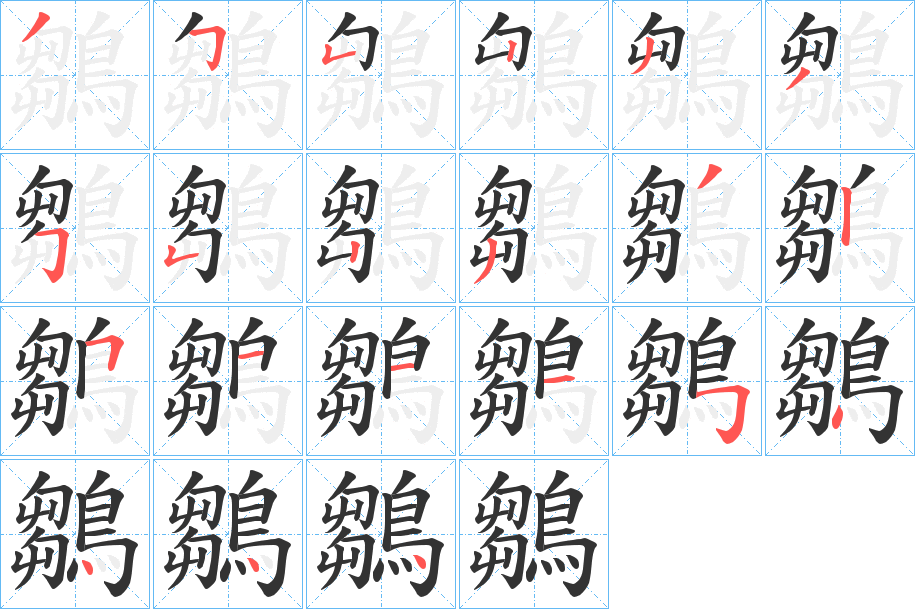 鶵的笔顺分步演示