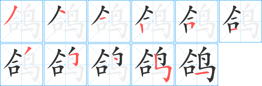 鸽的笔顺分步演示